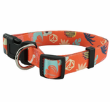 Coral Large Collar and Leash Set