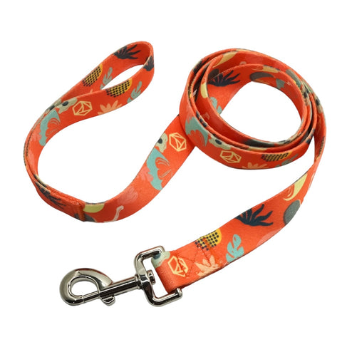 Coral Large Collar and Leash Set