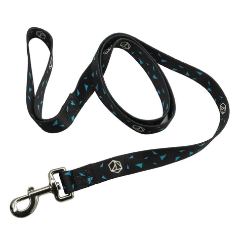 Black Large Collar and Leash Set